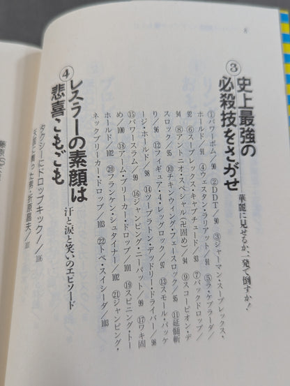 完全保存版 プロレス激闘ハンドブック 燃える男たちの全記録