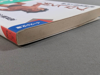 Pro Wrestling World Introduction to Passionate Dojo