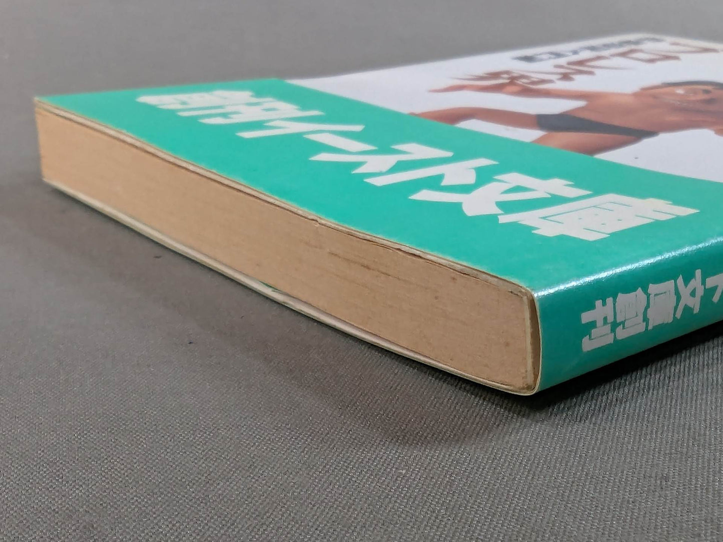 Pro Wrestling World Introduction to Passionate Dojo