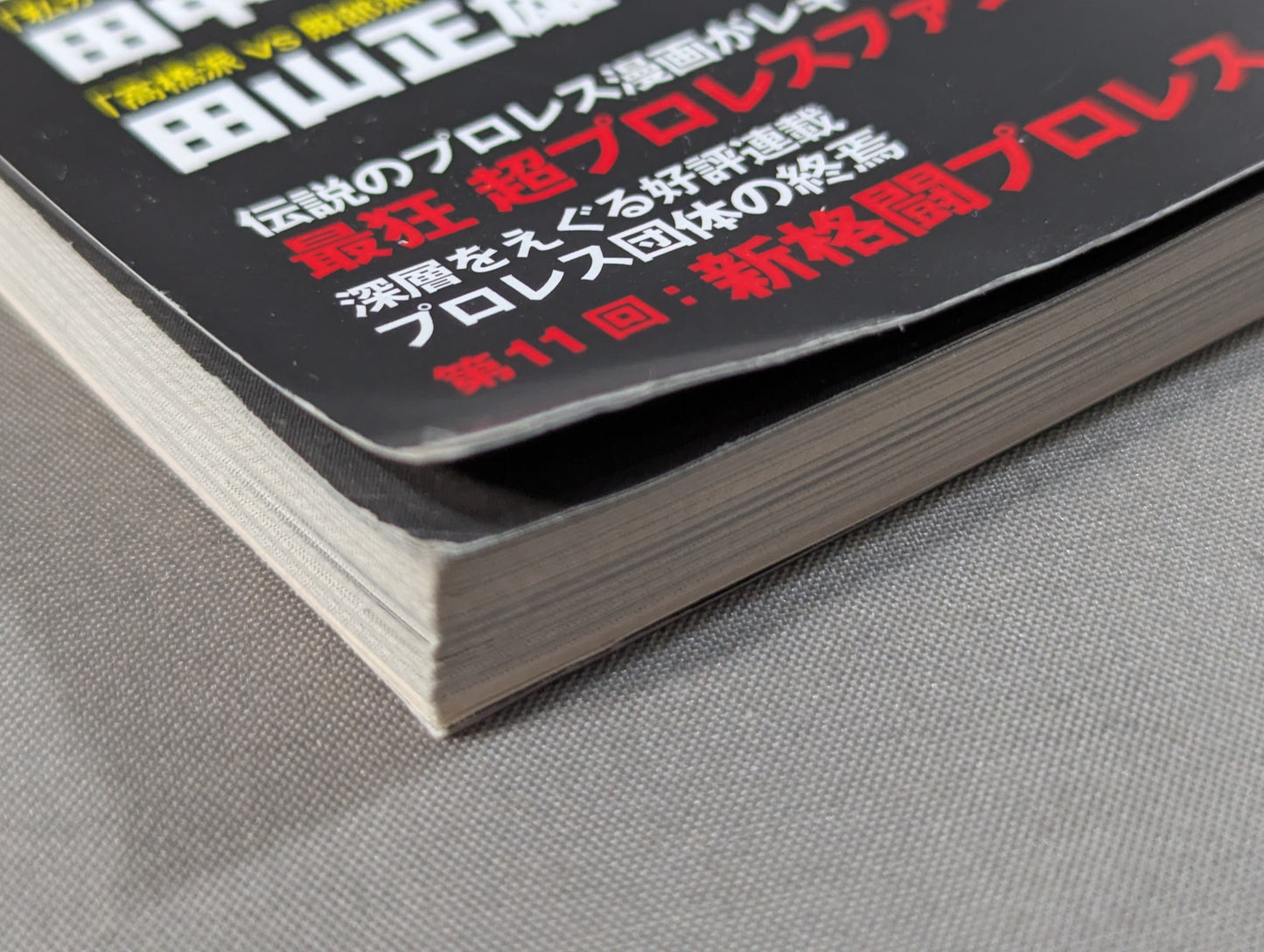 Our Pro Wrestling  Vol.13 The truth about pro wrestler's "withdrawal from promotion "
