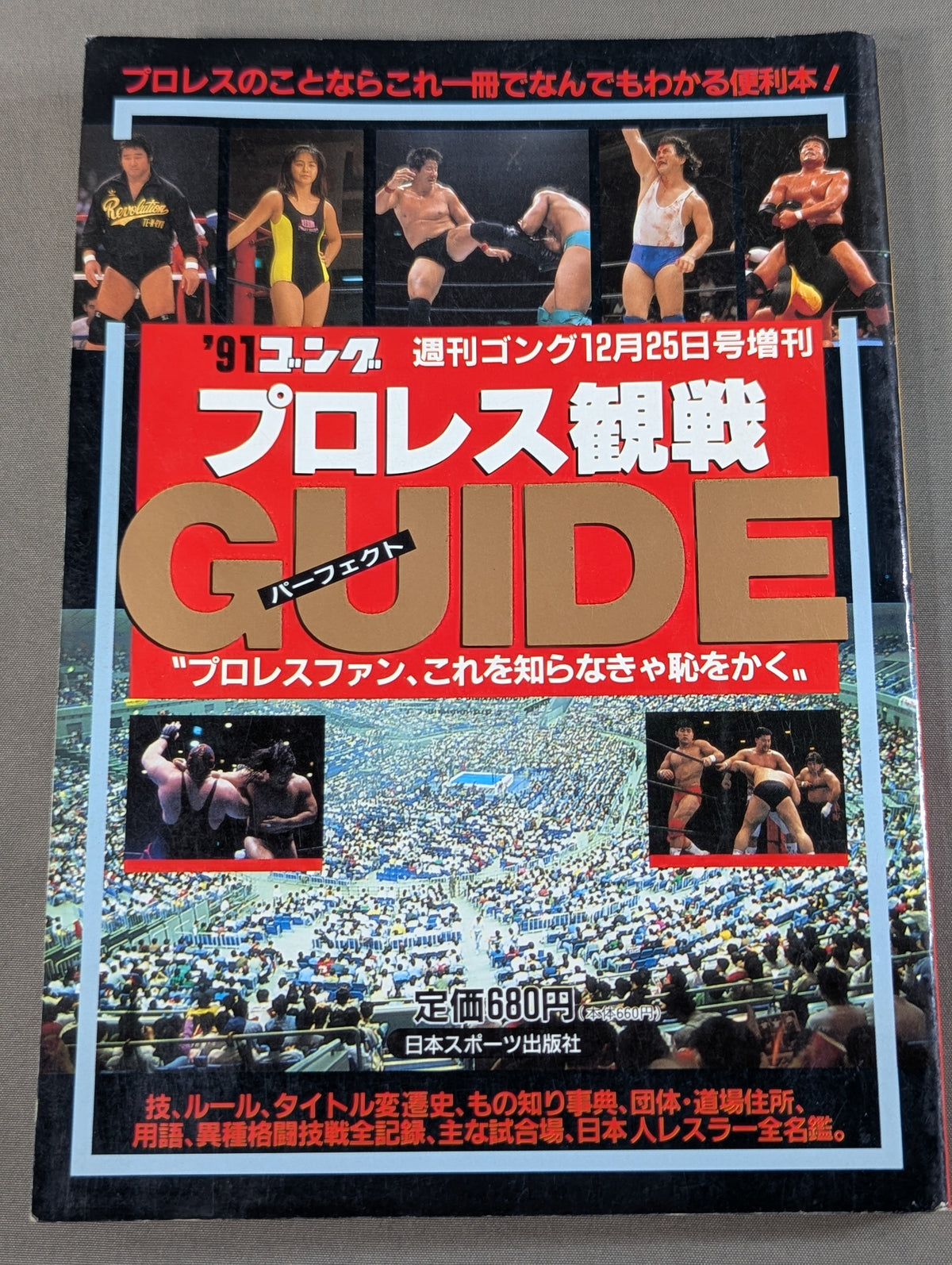 91ゴング プロレス観戦パーフェクトガイド