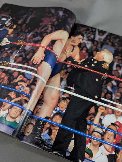 WRESTLE MANIA X8