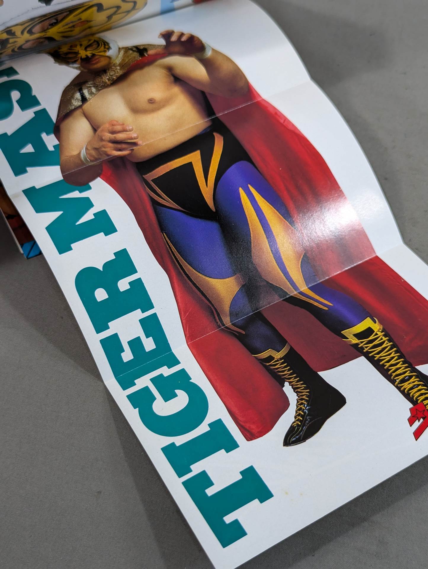 タイガーマスク大全集 – 闘道館