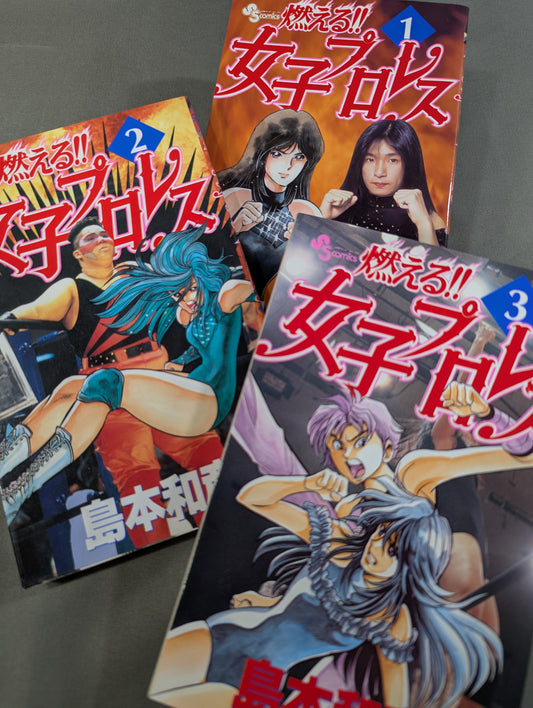 【全3巻セット】燃える!!女子プロレス