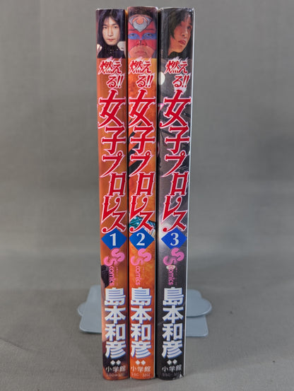 【全3巻セット】燃える!!女子プロレス