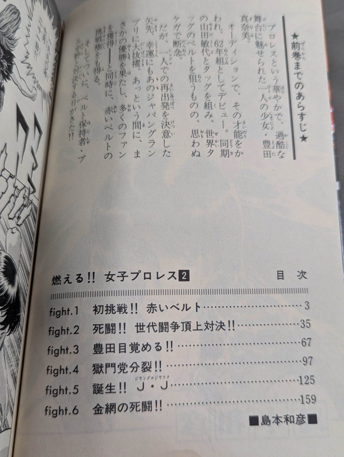 【全3巻セット】燃える!!女子プロレス