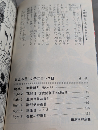 【全3巻セット】燃える!!女子プロレス