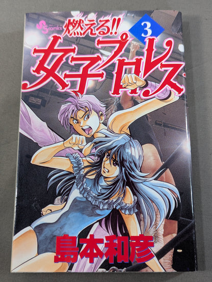 【全3巻セット】燃える!!女子プロレス