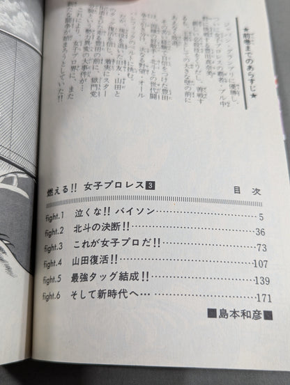 【全3巻セット】燃える!!女子プロレス
