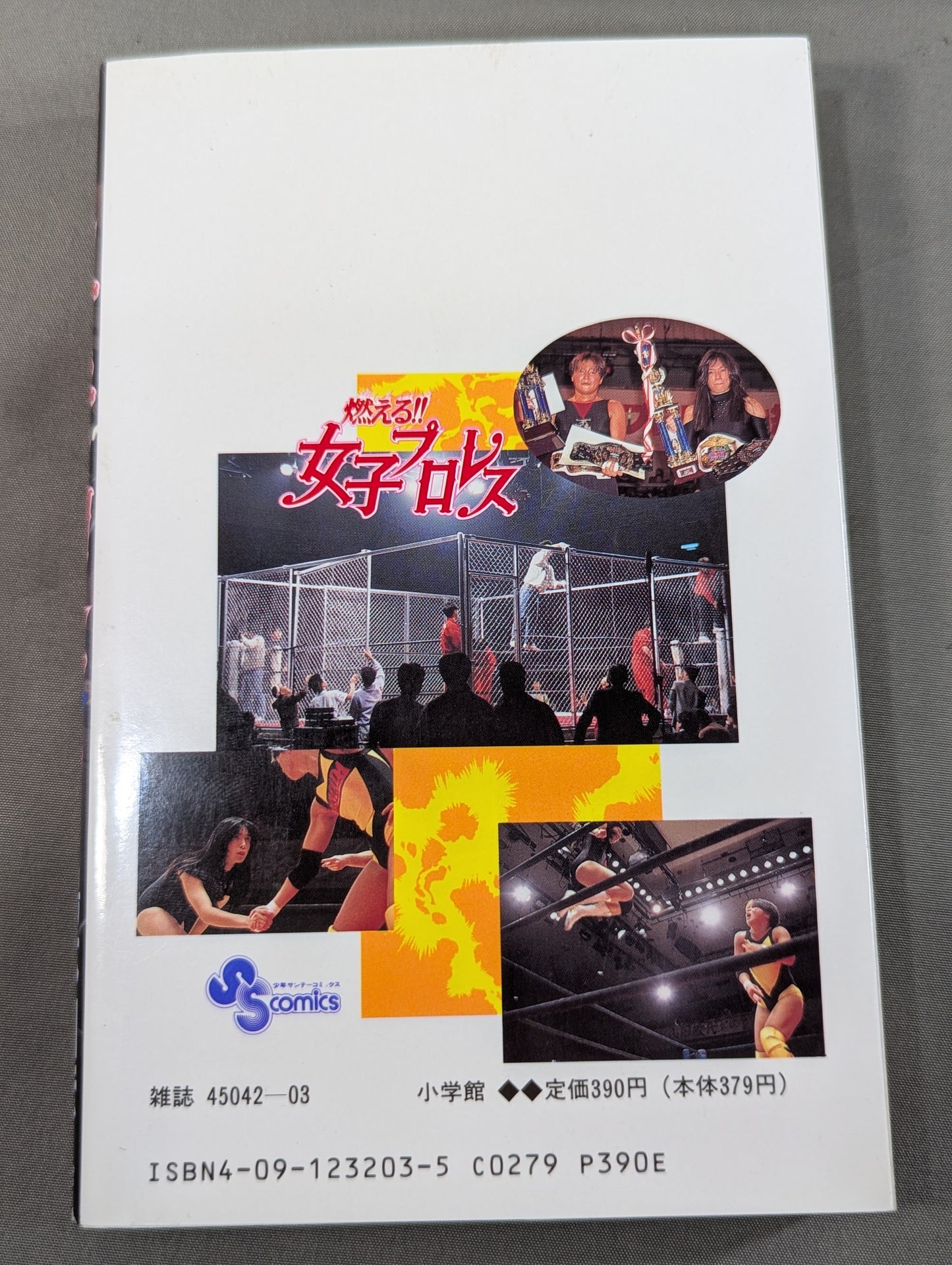 【全3巻セット】燃える!!女子プロレス