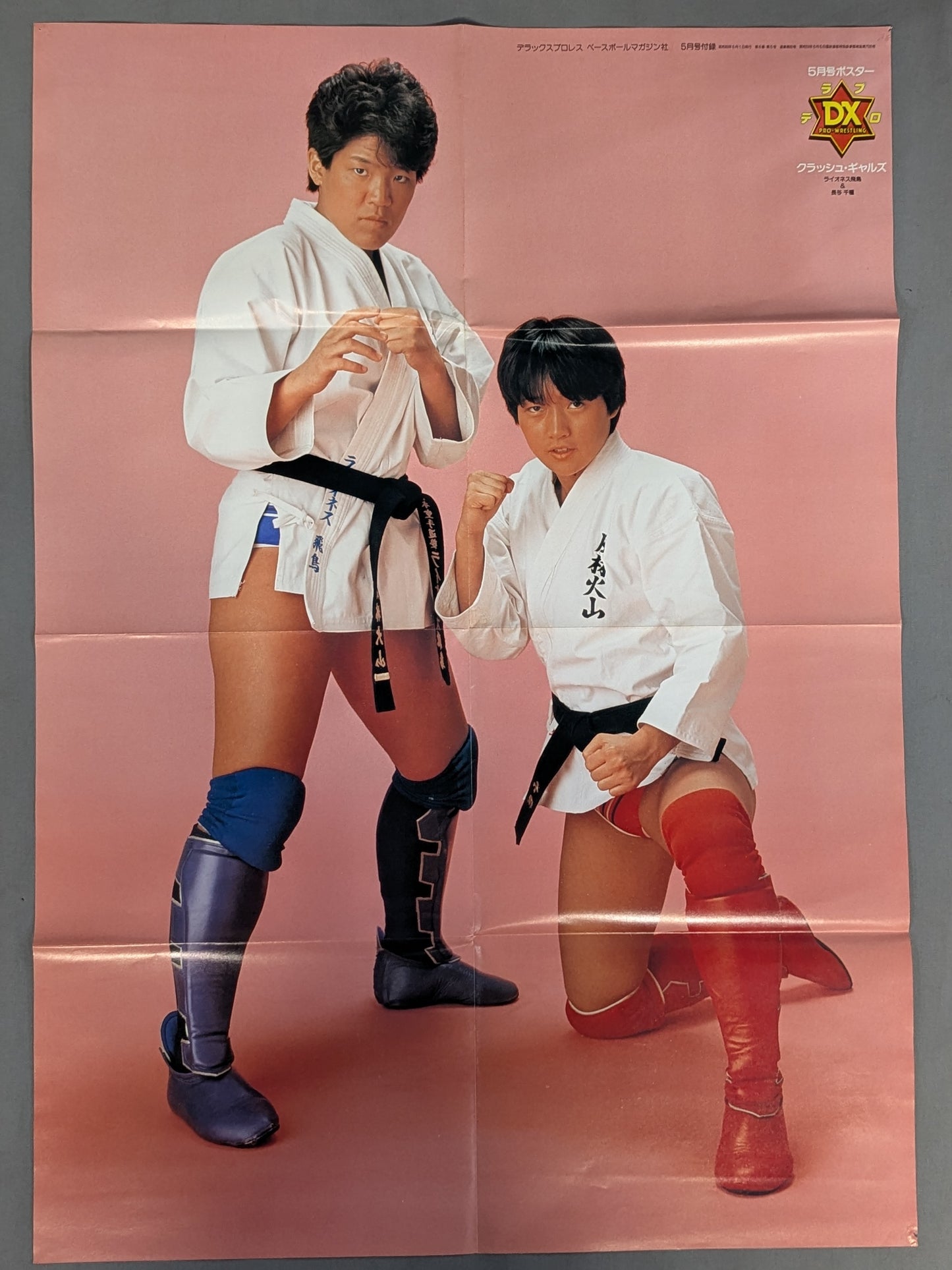 Crash Gals (Chigusa Nagayo & Lioness Asuka) Magazine Supplement Poster (2)