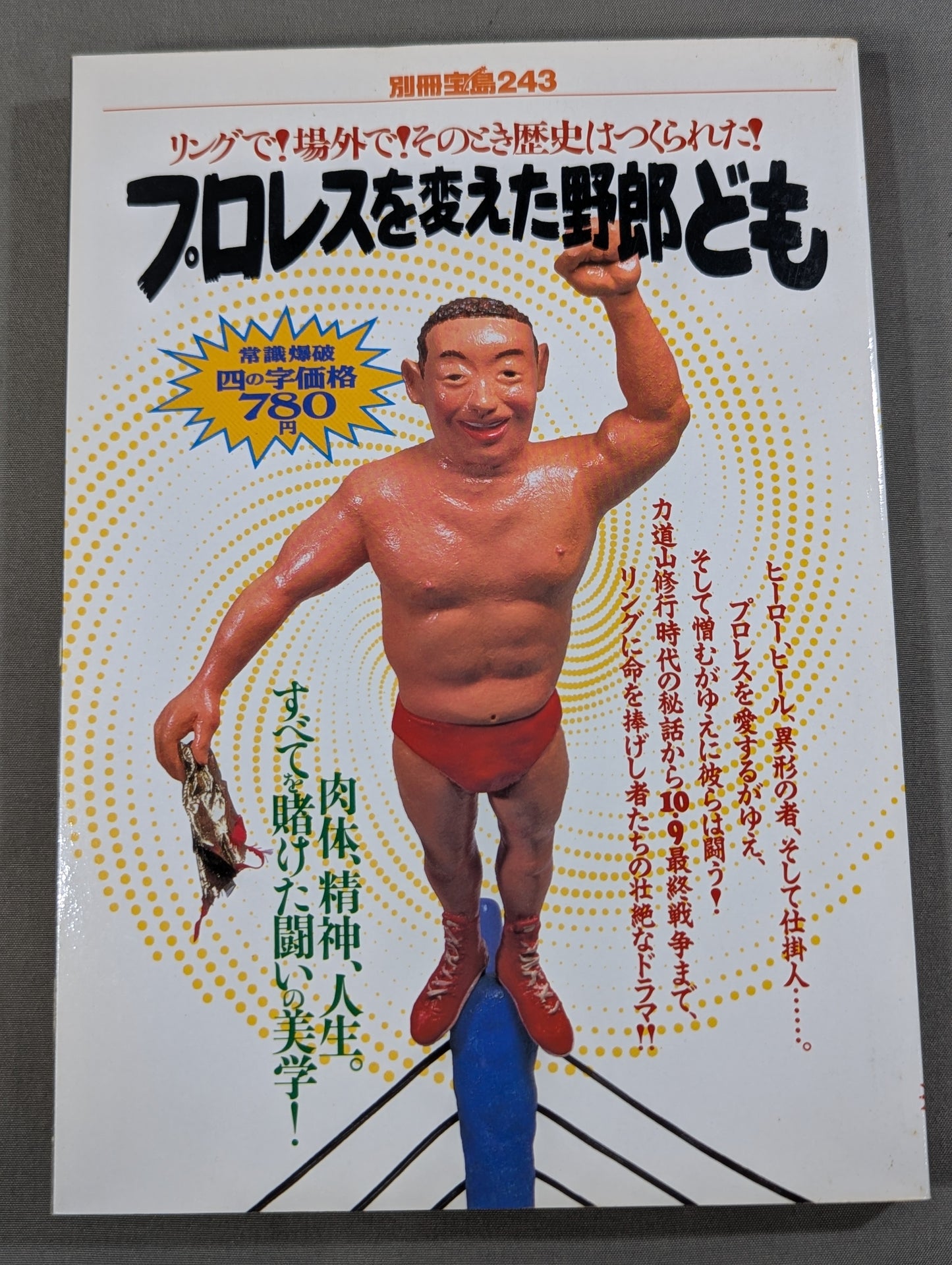 別冊宝島243 プロレスを変えた野郎ども  リングで!場外で!そのとき歴史はつくられた!