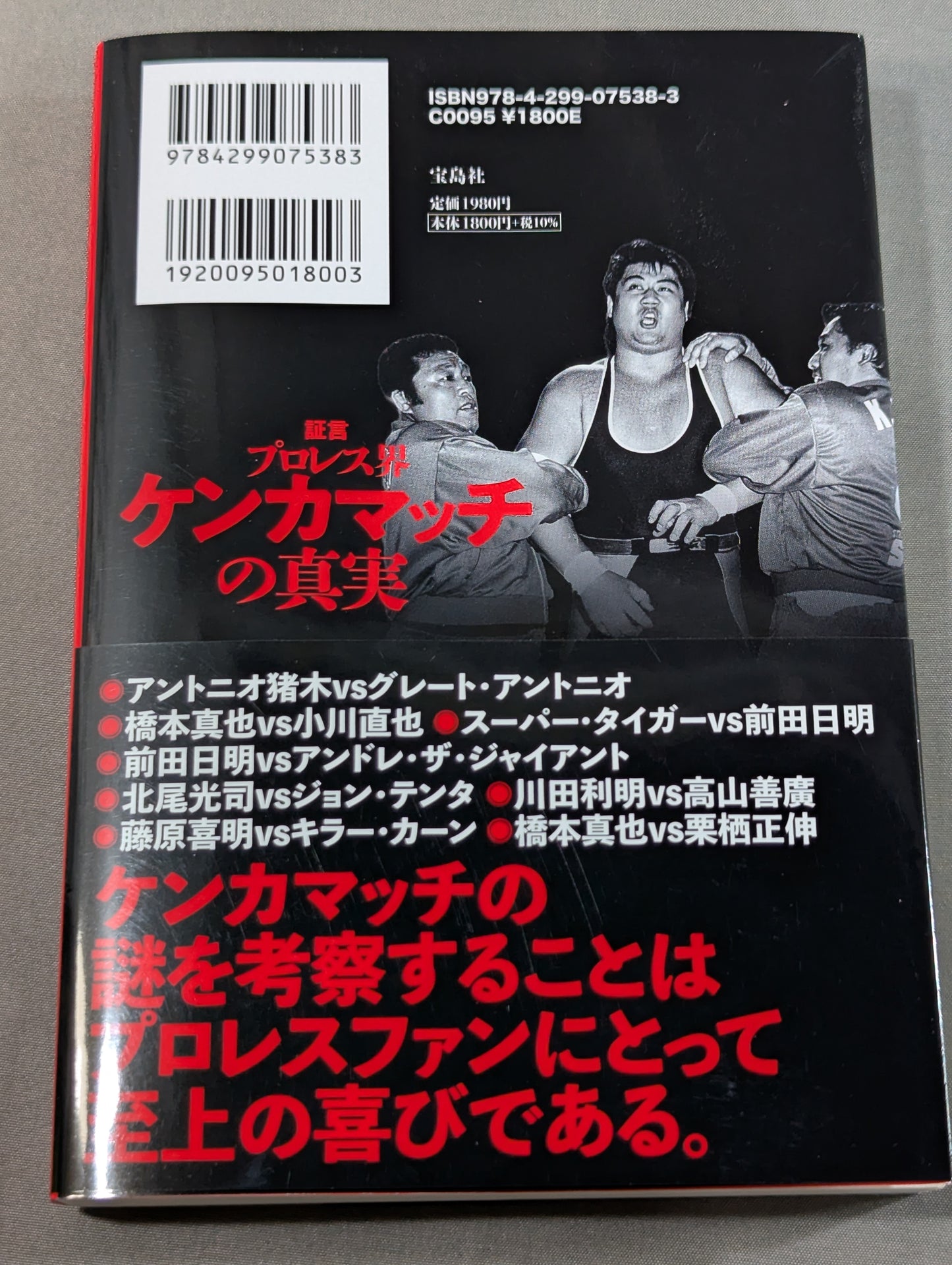 Testimonial The Truth About Pro Wrestling Fight Matches