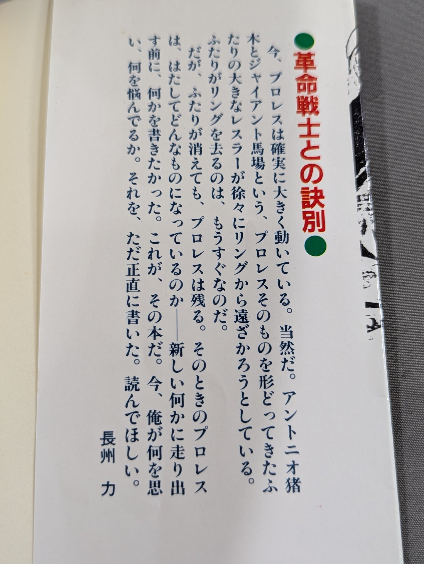 これが俺のやり方だ! 革命戦士との訣別