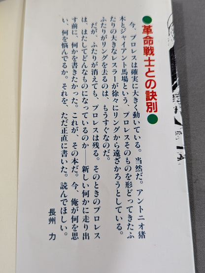 これが俺のやり方だ! 革命戦士との訣別