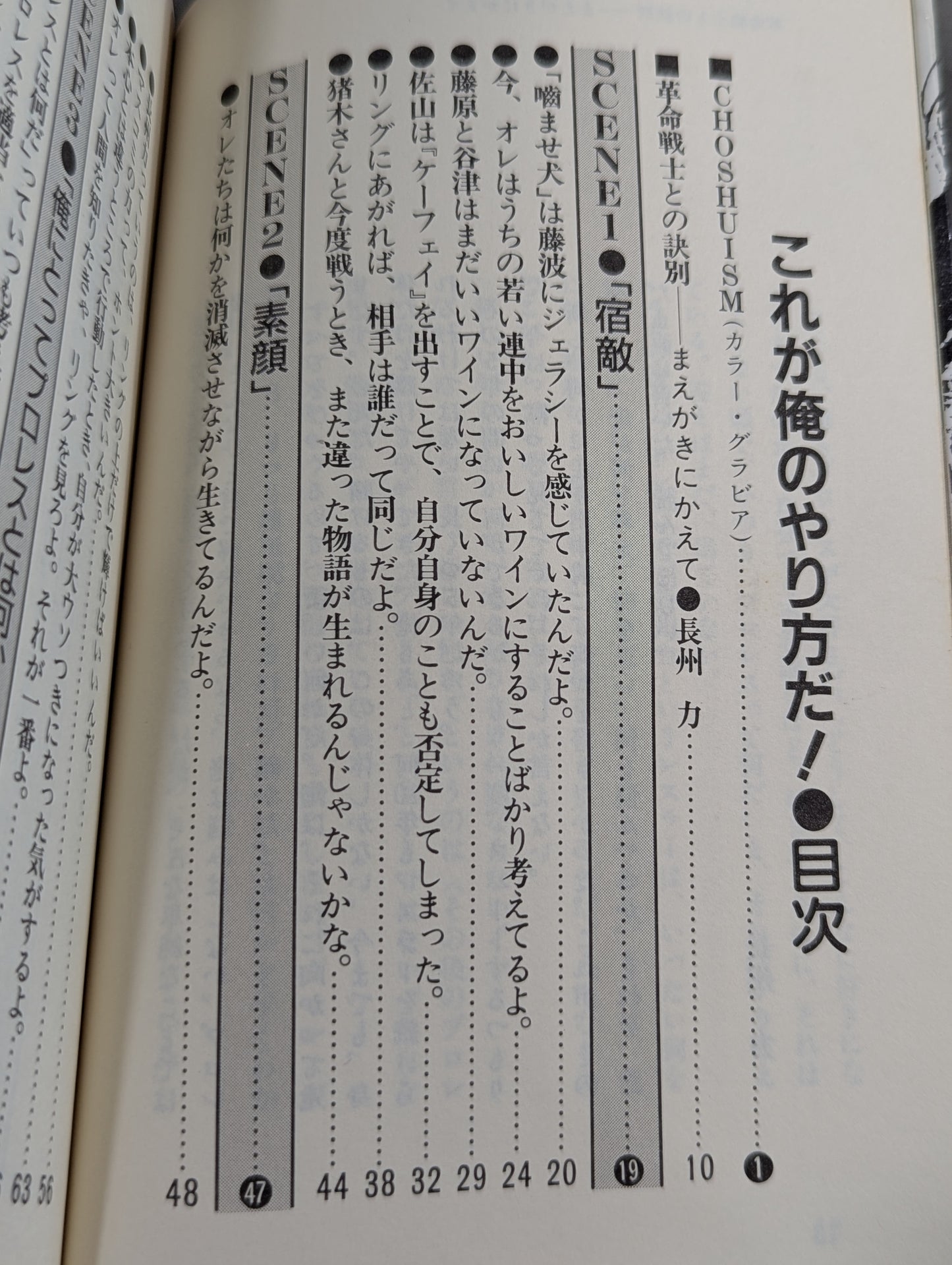これが俺のやり方だ! 革命戦士との訣別