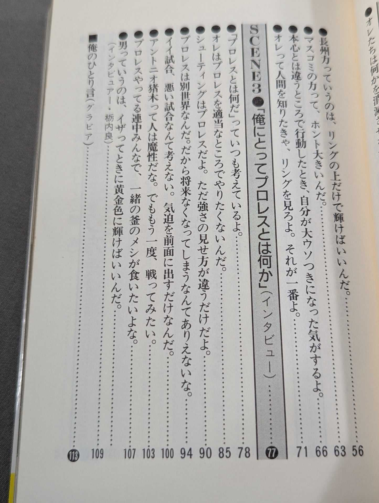 これが俺のやり方だ! 革命戦士との訣別