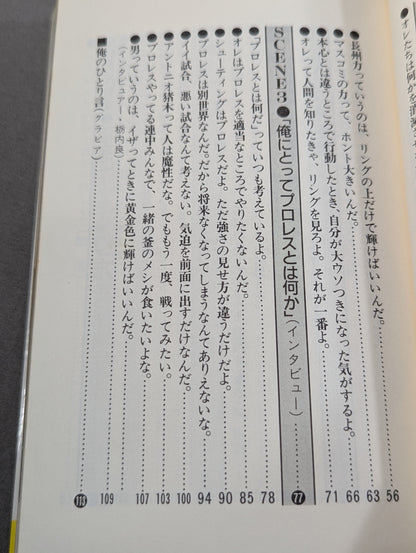 これが俺のやり方だ! 革命戦士との訣別
