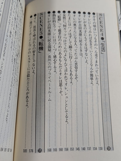 これが俺のやり方だ! 革命戦士との訣別