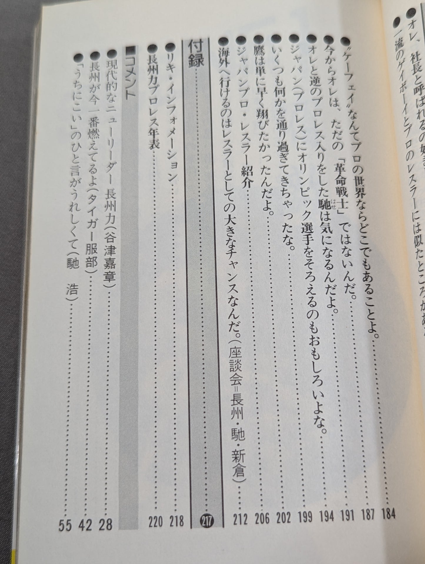 これが俺のやり方だ! 革命戦士との訣別