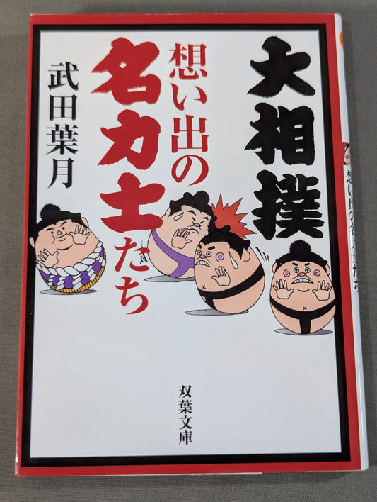 大相撲 想い出の名力士たち