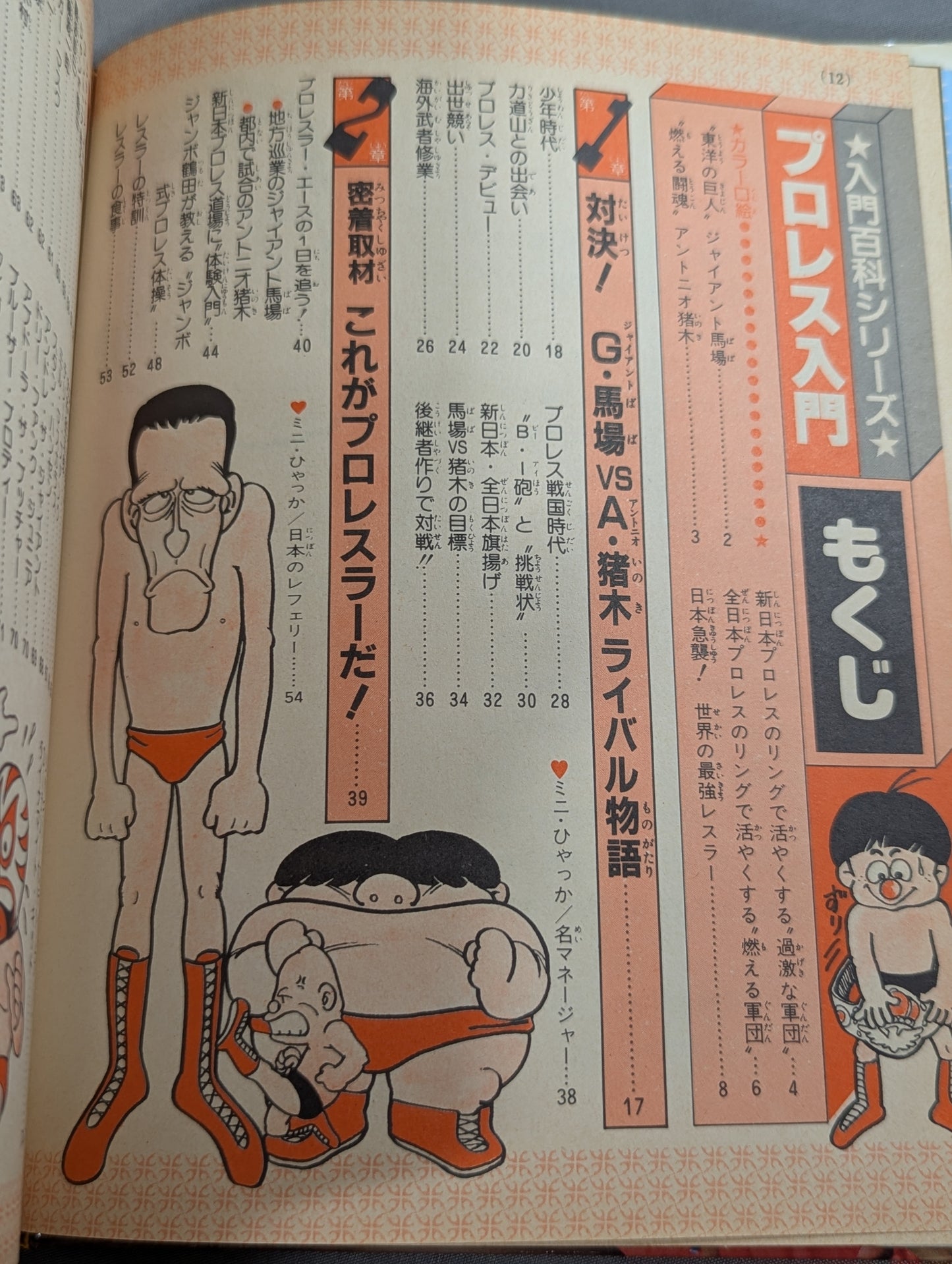 プロレス入門 小学館入門百科シリーズ⑨(改訂版)