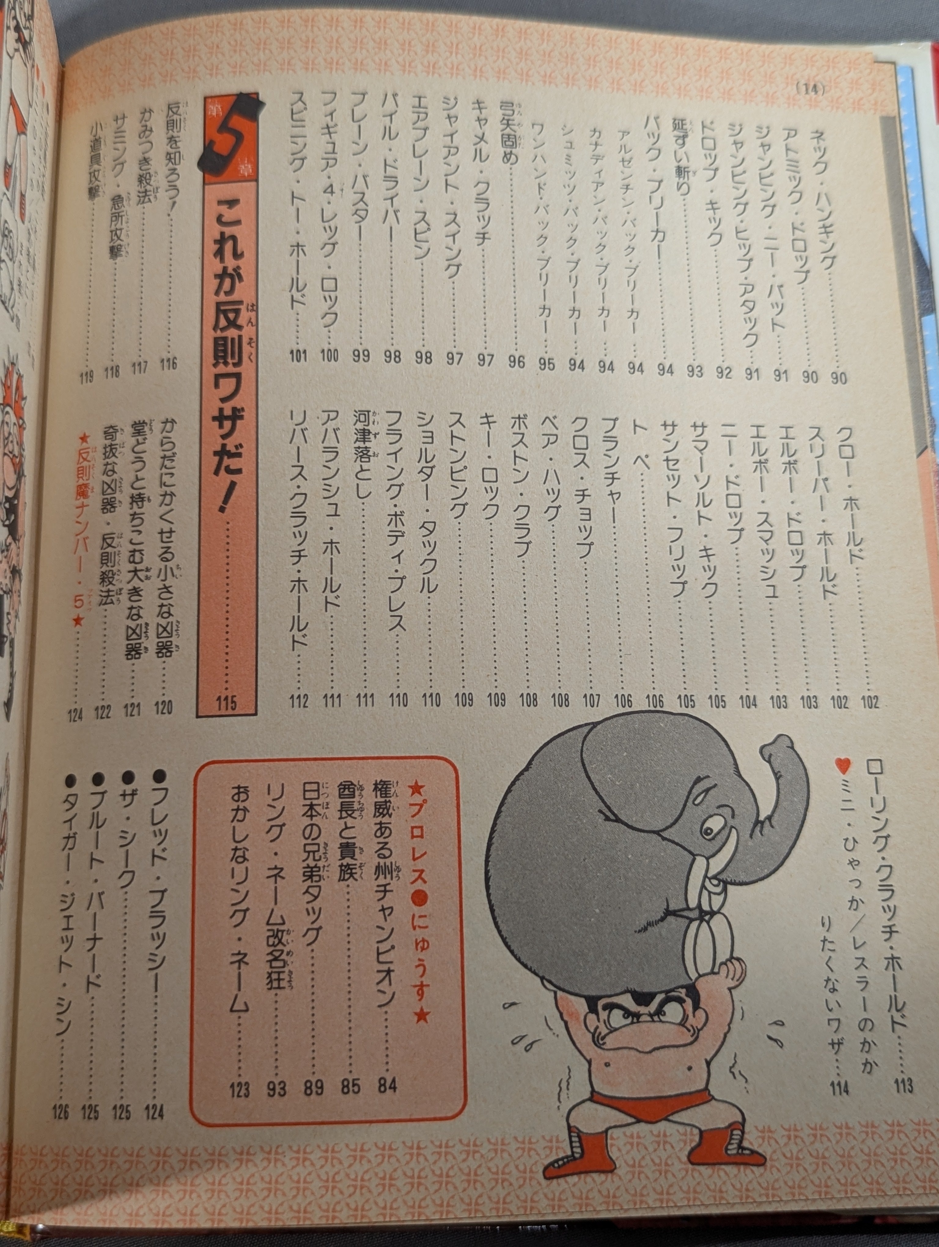プロレス入門 小学館入門百科シリーズ⑨(改訂版) – 闘道館