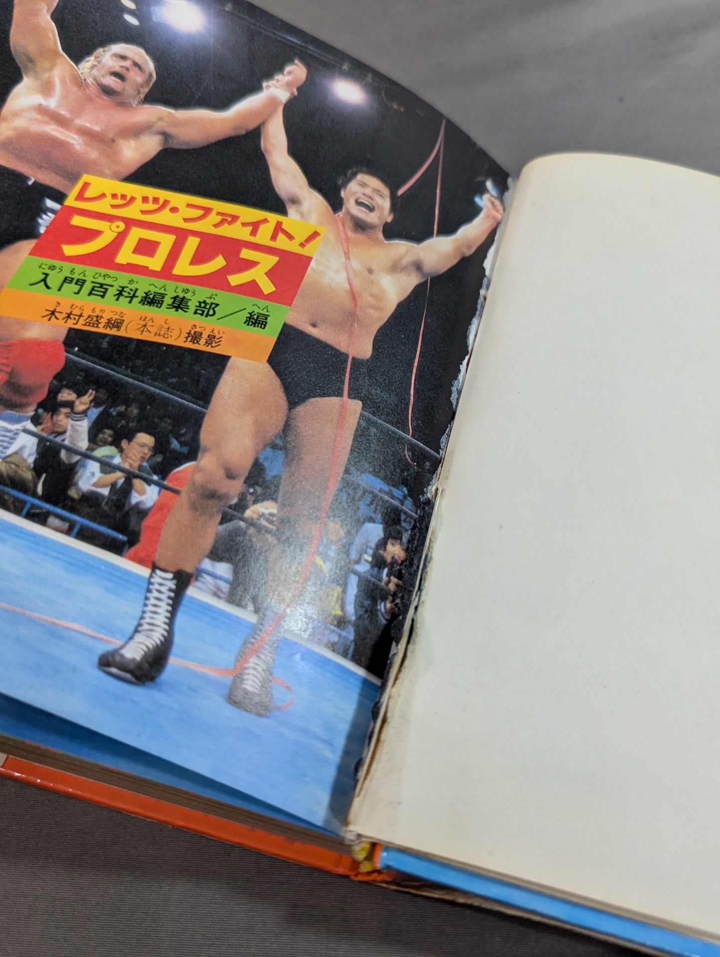 レッツ・ファイト!プロレス 小学館入門百科シリーズ145