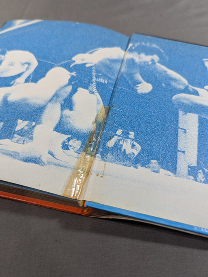 レッツ・ファイト!プロレス 小学館入門百科シリーズ145