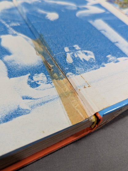 レッツ・ファイト!プロレス 小学館入門百科シリーズ145