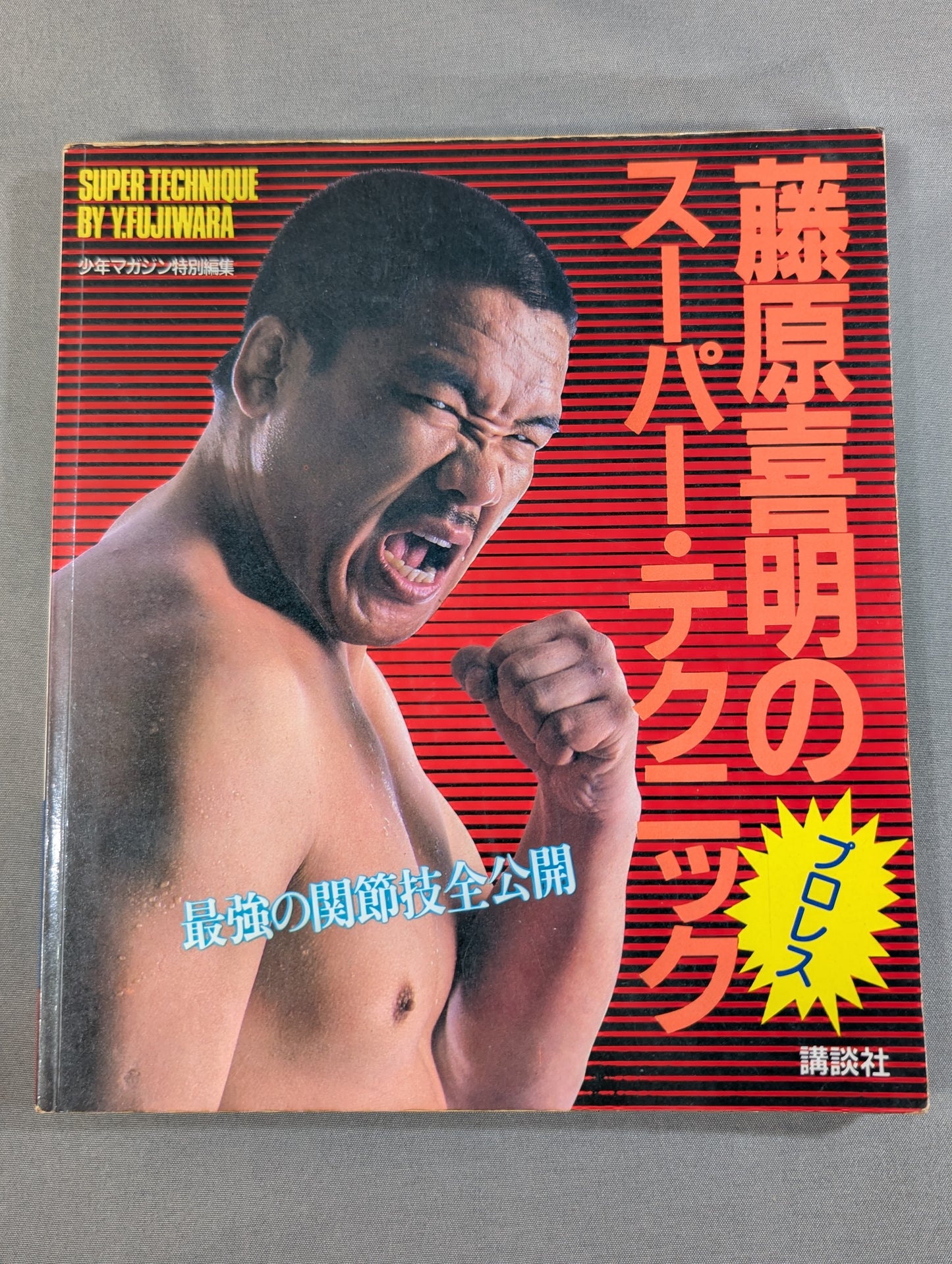 藤原喜明のスーパー・テクニック 最強の関節技全公開
