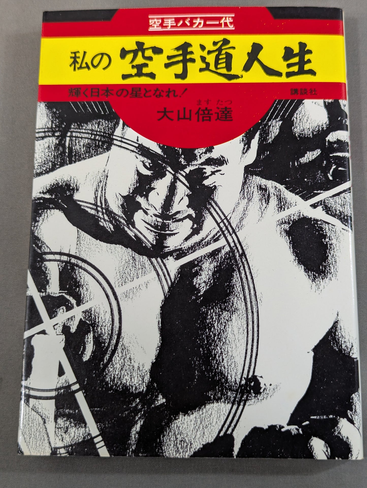 My KARATE Path Life: Become a Shining Star of Japan!