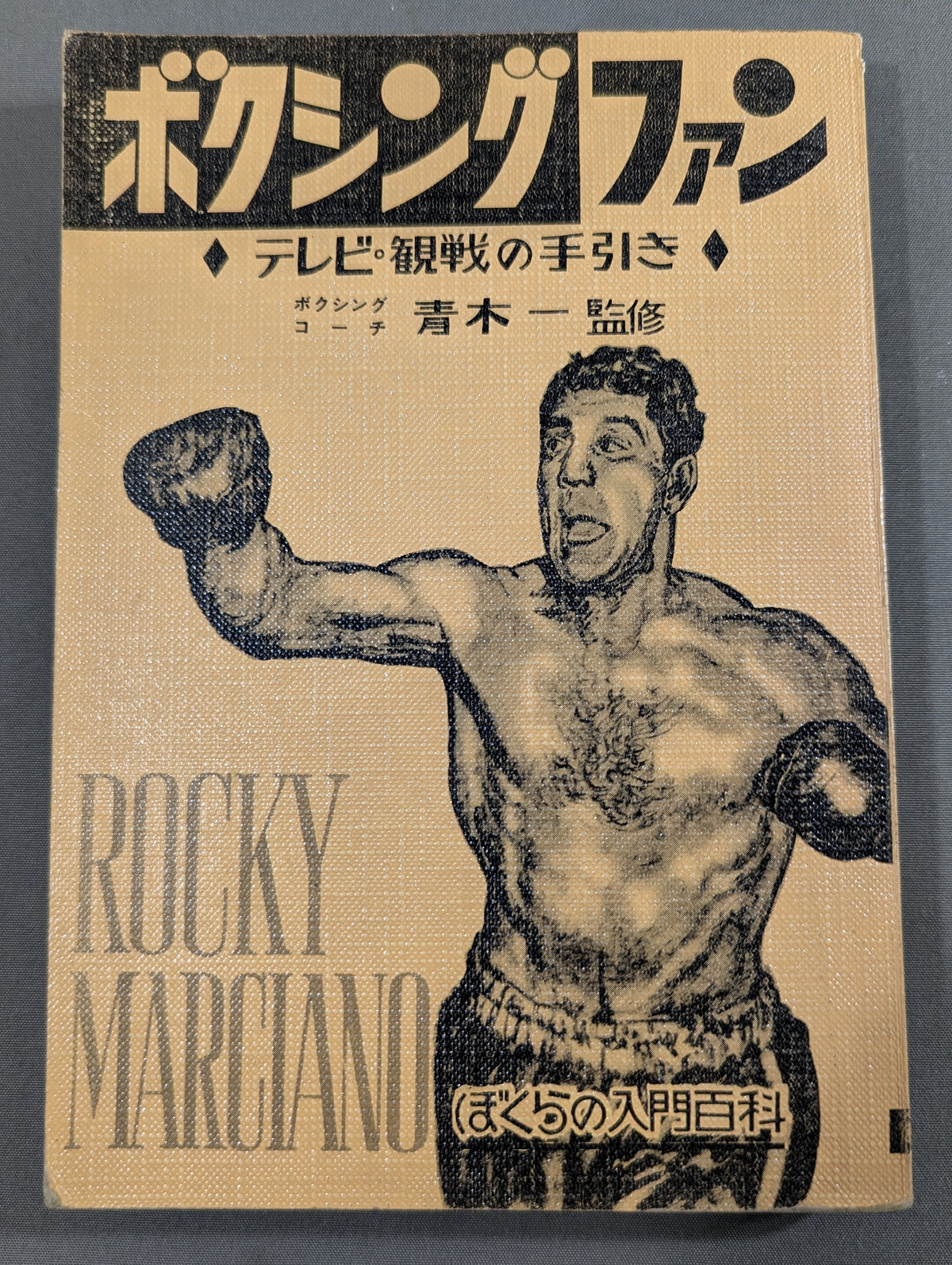 ボクシングファン ◆テレビ・観戦の手引き◆ ぼくらの入門百科