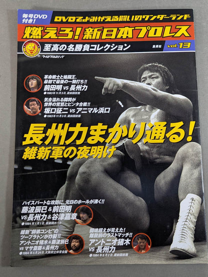 燃えろ!新日本プロレス vol.13