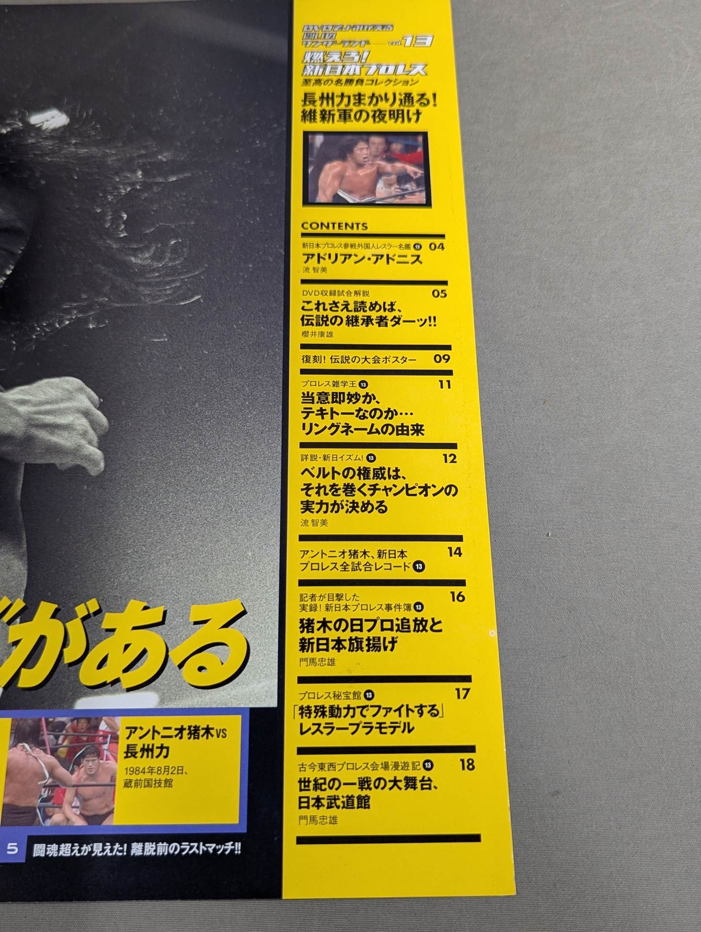 燃えろ!新日本プロレス vol.13 – 闘道館