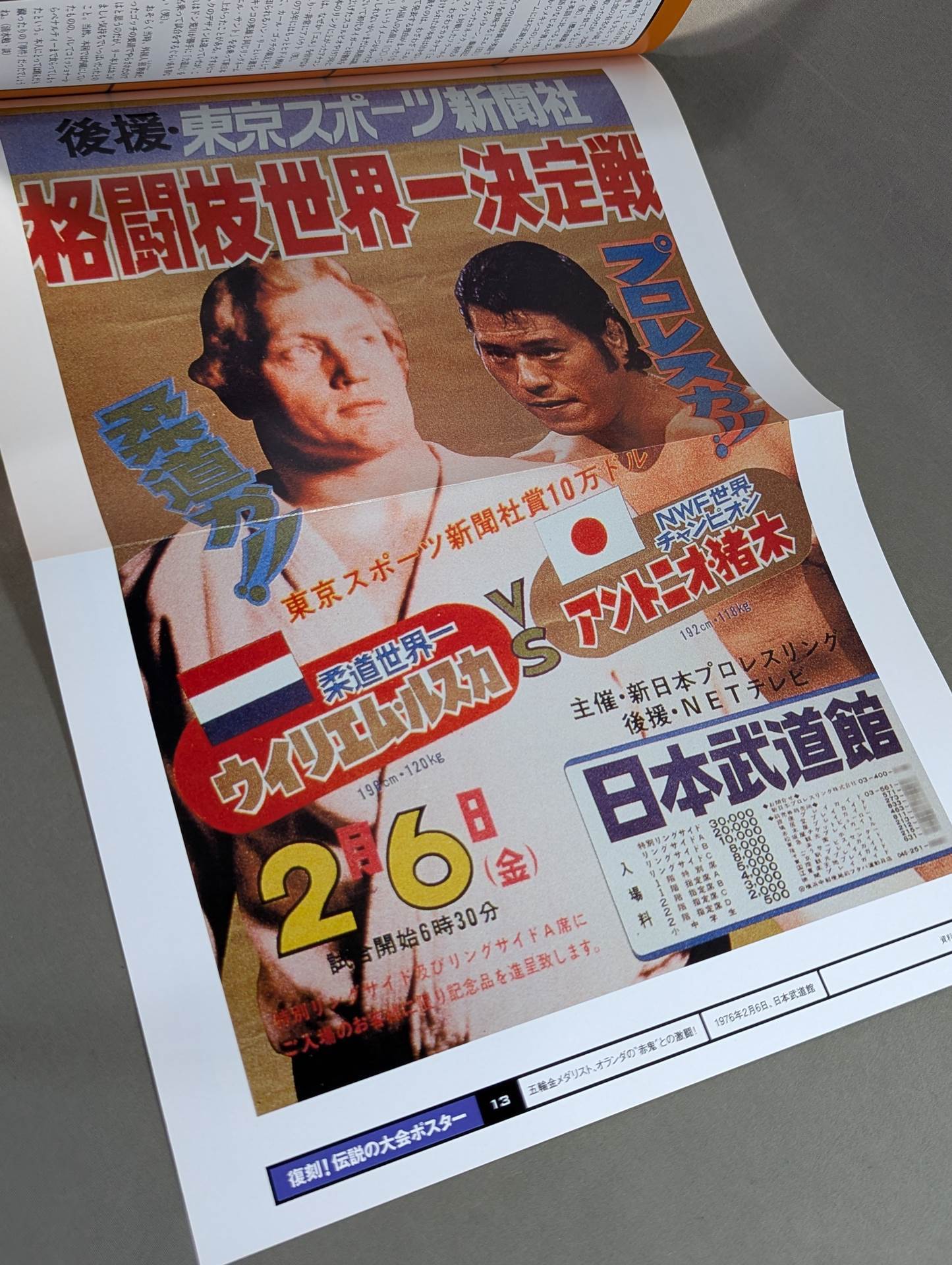 燃えろ!新日本プロレス vol.13