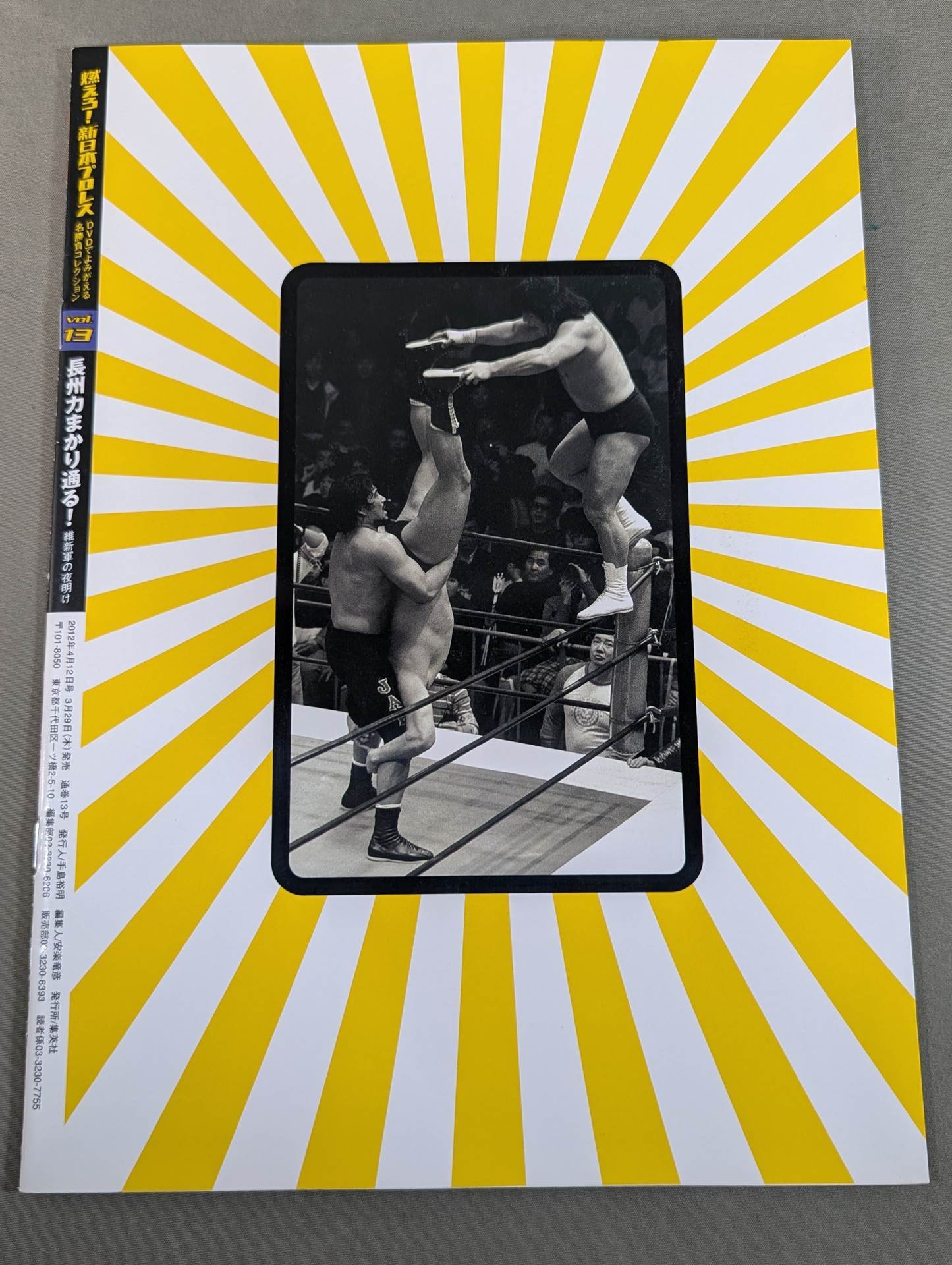 燃えろ!新日本プロレス vol.13