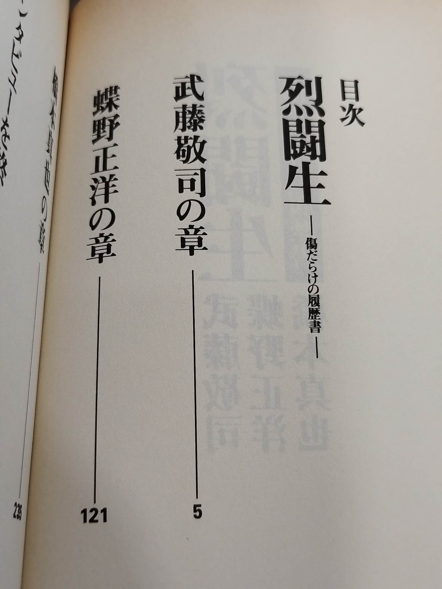 Fierce Fighter Resume Full of Scars
