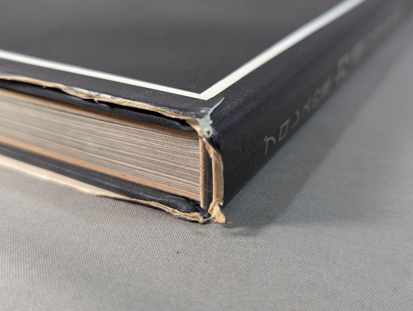 Pro Wrestling Demon Rikidozan Photo Collection