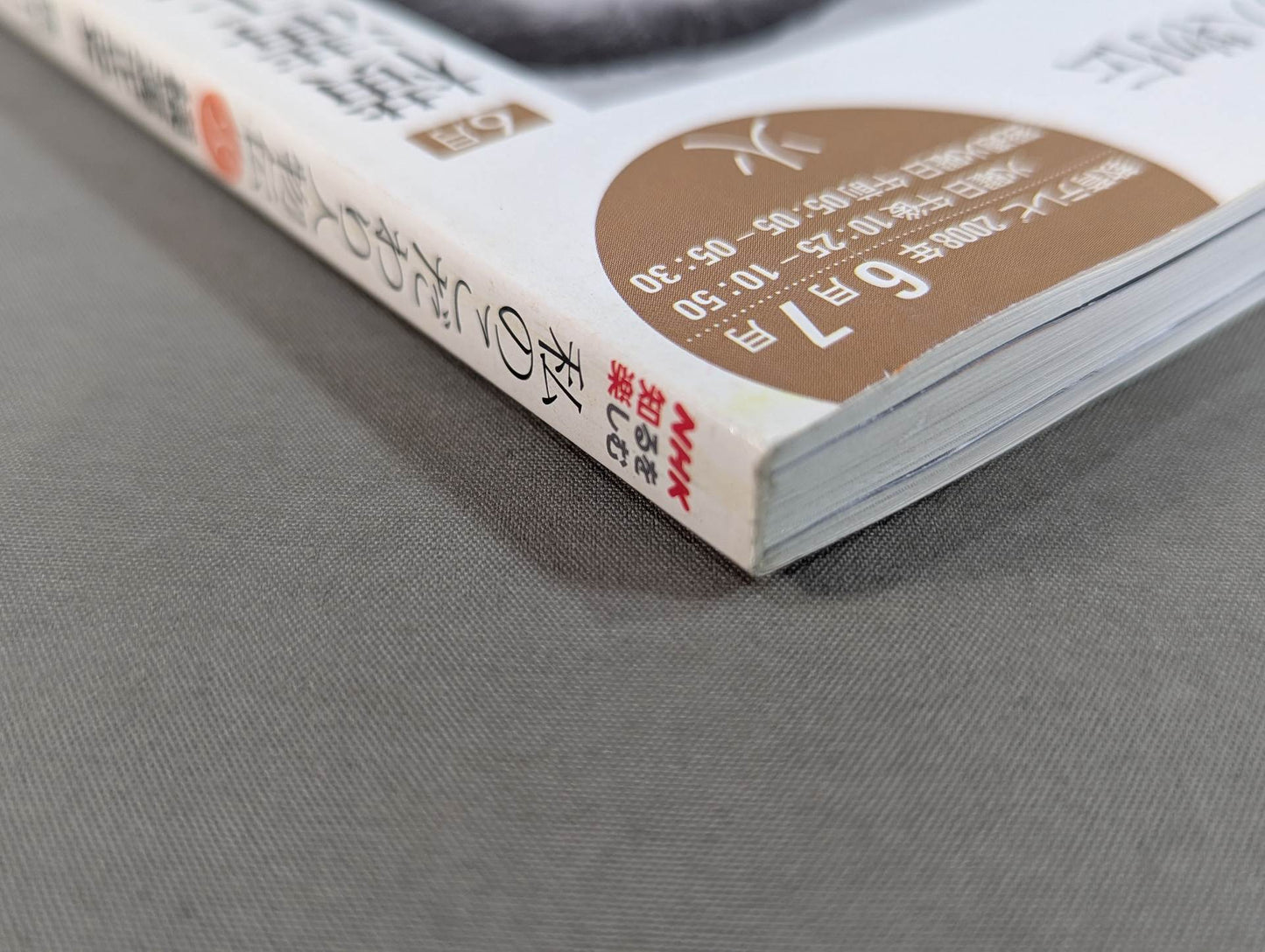 Enjoy Knowing NHK My Particular Biography June-July 2008