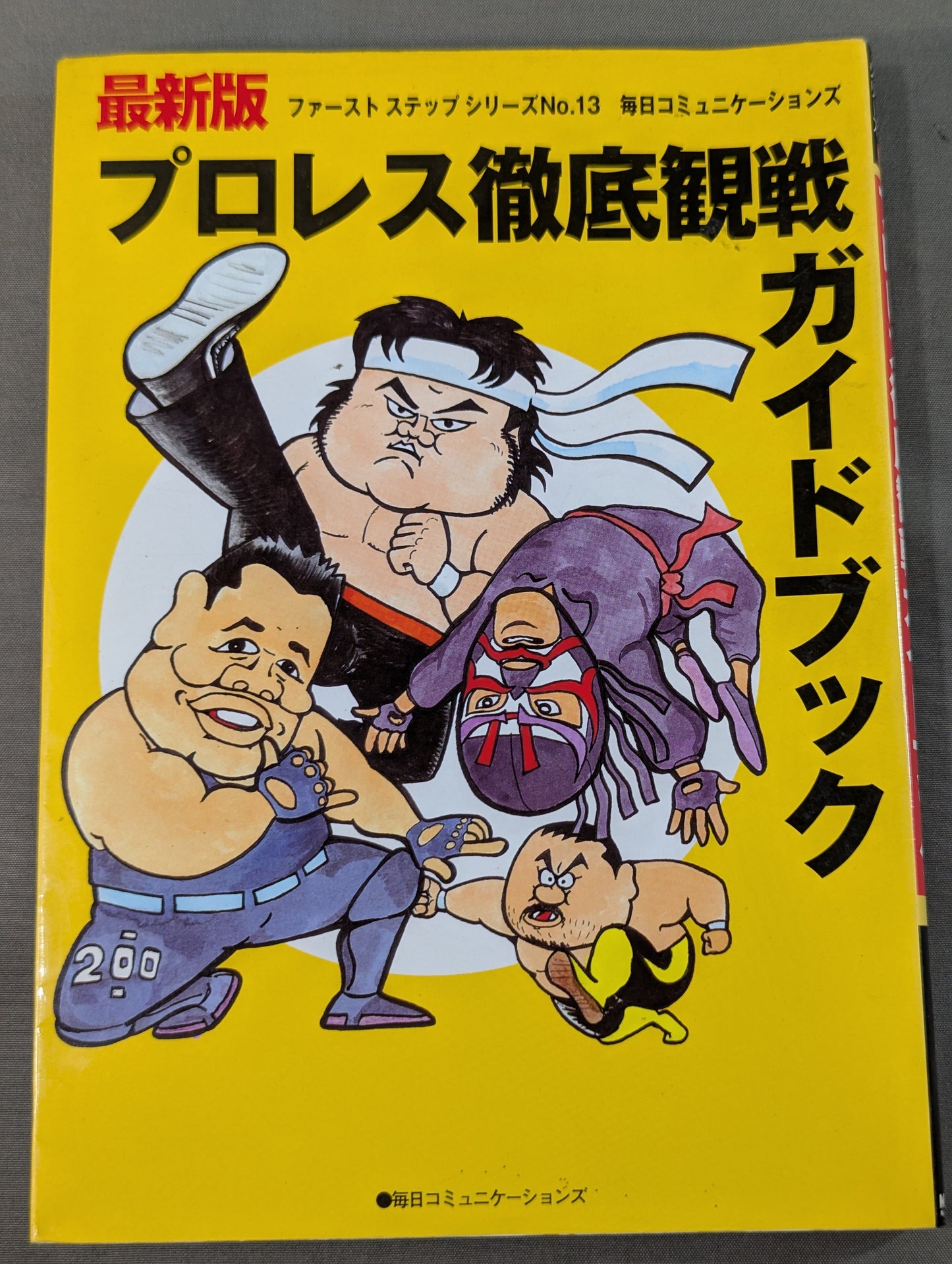 Pro Wrestling Comprehensive Viewing Guidebook
