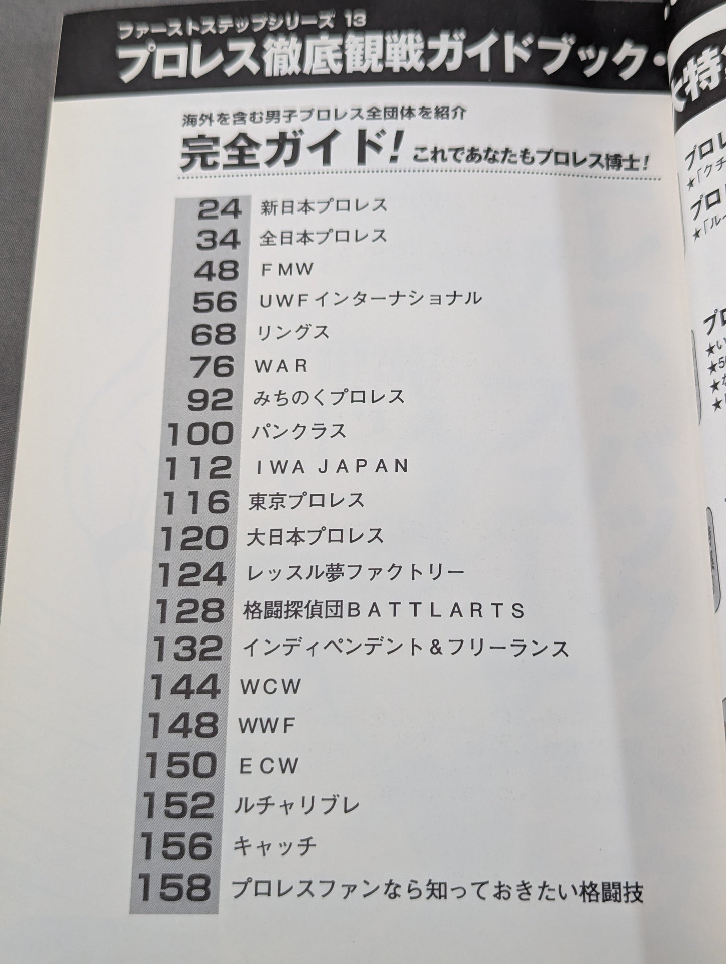 Pro Wrestling Comprehensive Viewing Guidebook