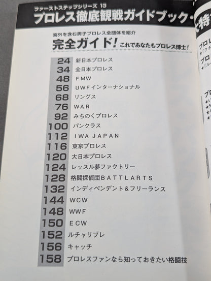 Pro Wrestling Comprehensive Viewing Guidebook