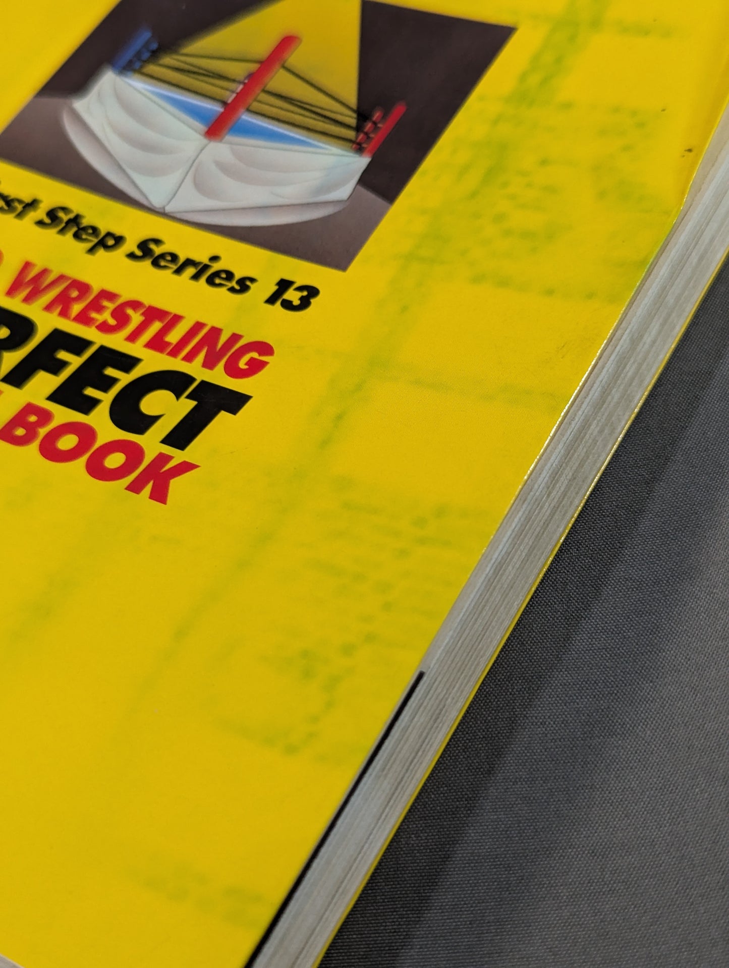 Pro Wrestling Comprehensive Viewing Guidebook