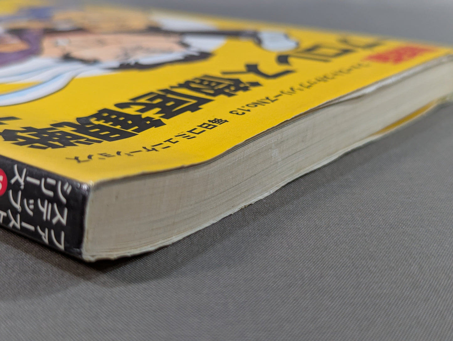 Pro Wrestling Comprehensive Viewing Guidebook