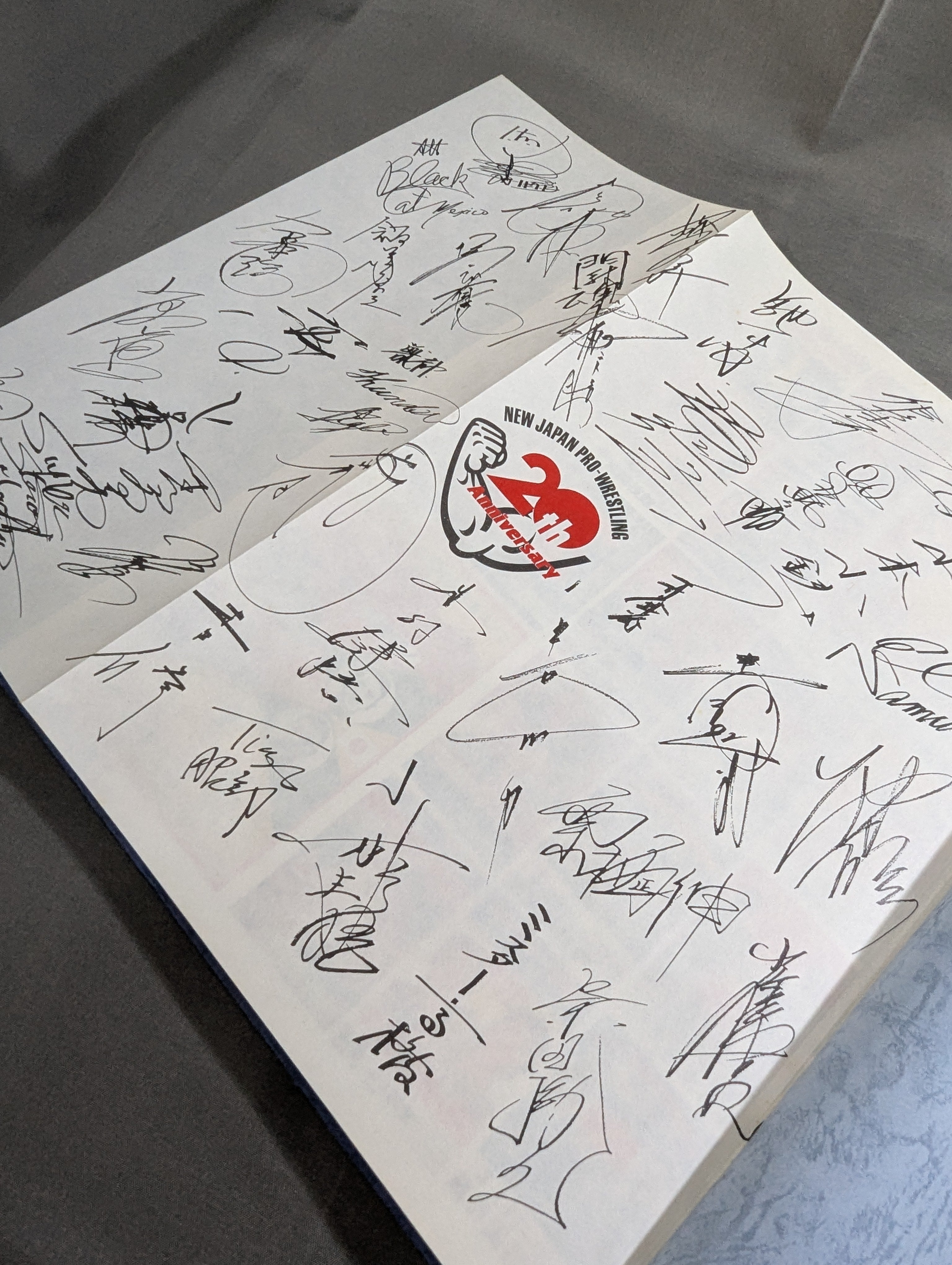 New Japan Pro Wrestling 20 Years History 20th Anniversary