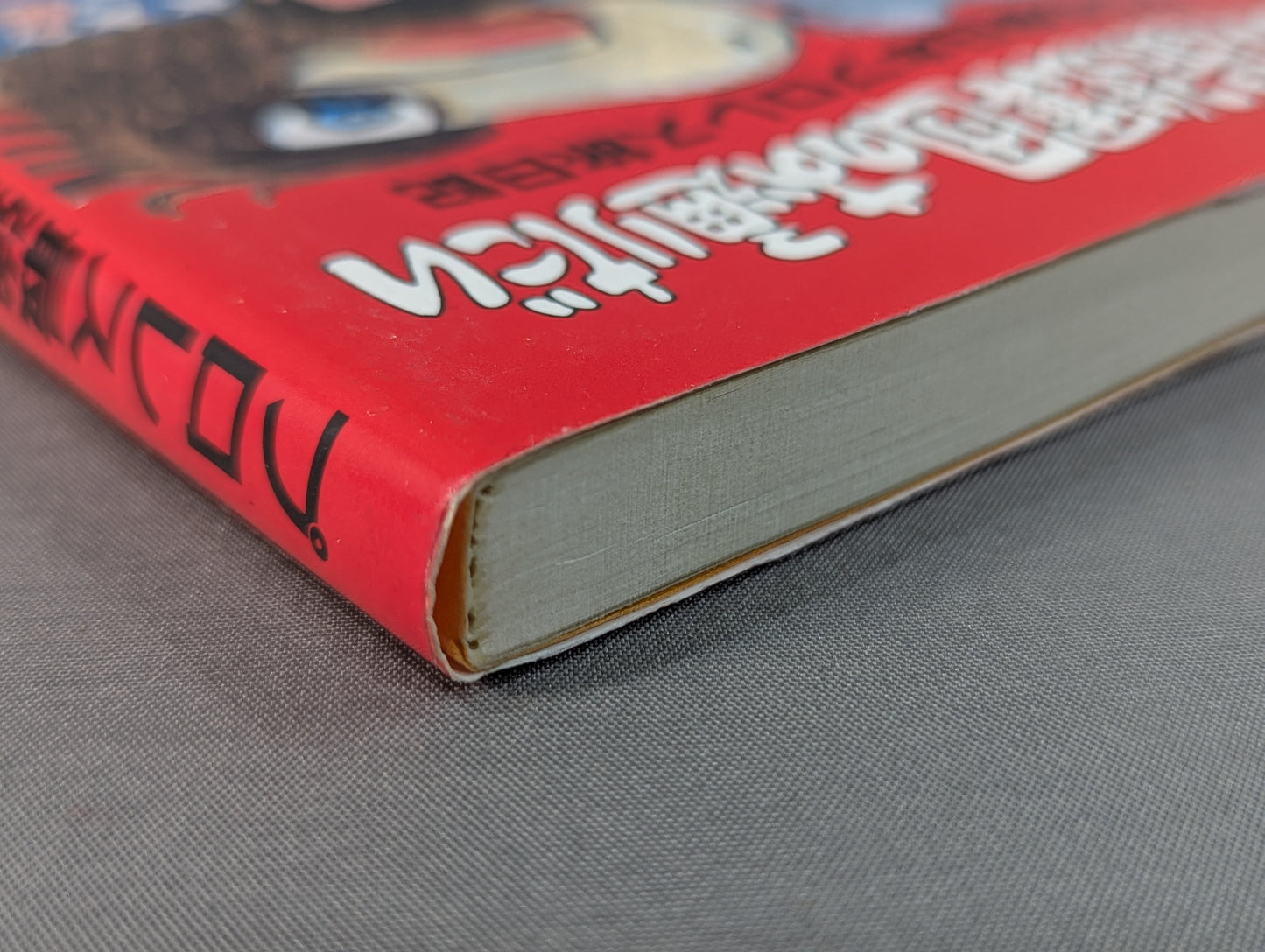 Pro Wrestling's strongest corps Kero's New Japan Pro Wrestling  Travel Diary