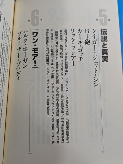"Pro Wrestling Superstar Retsuden" Secret Record