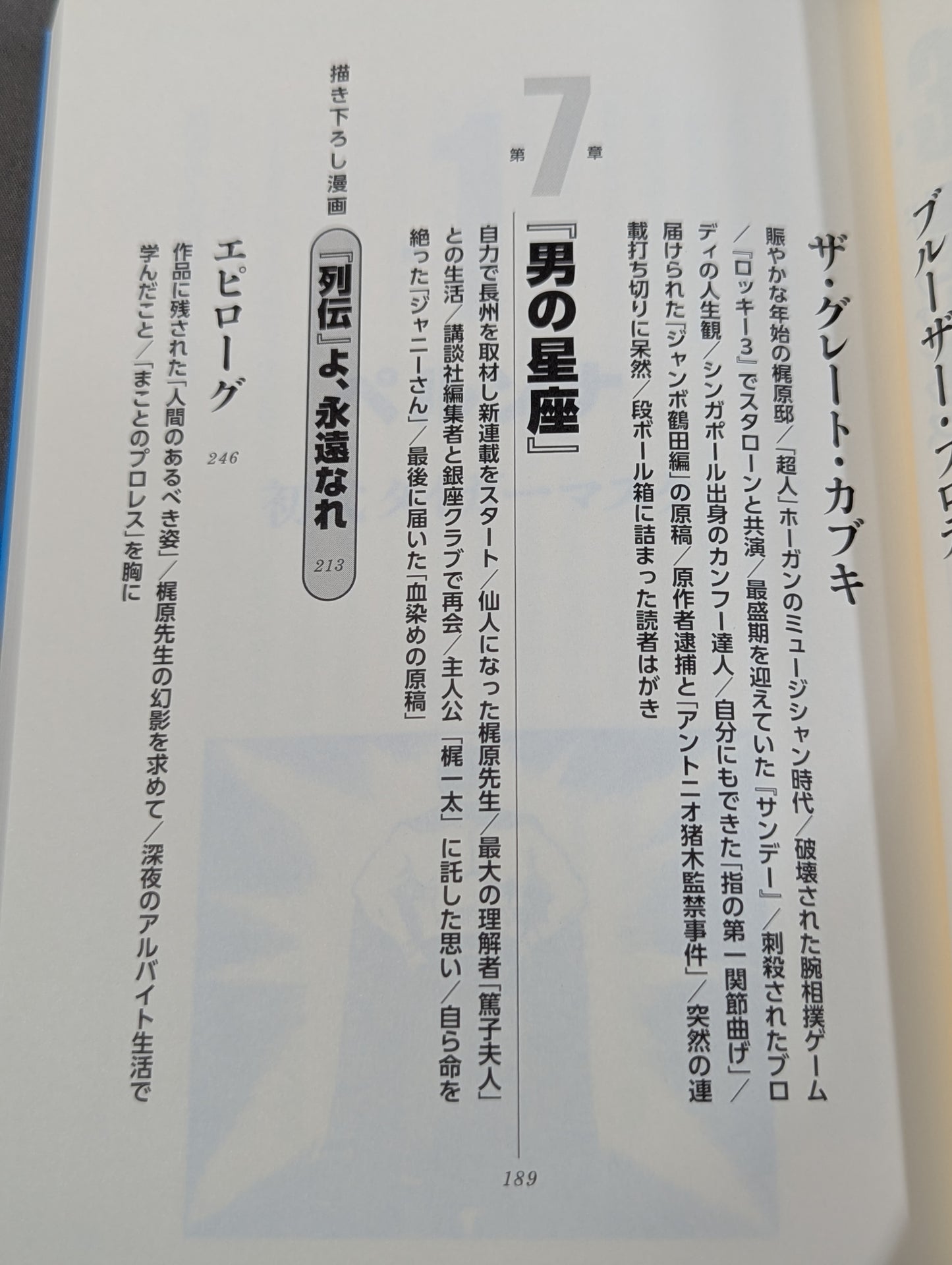 "Pro Wrestling Superstar Retsuden" Secret Record