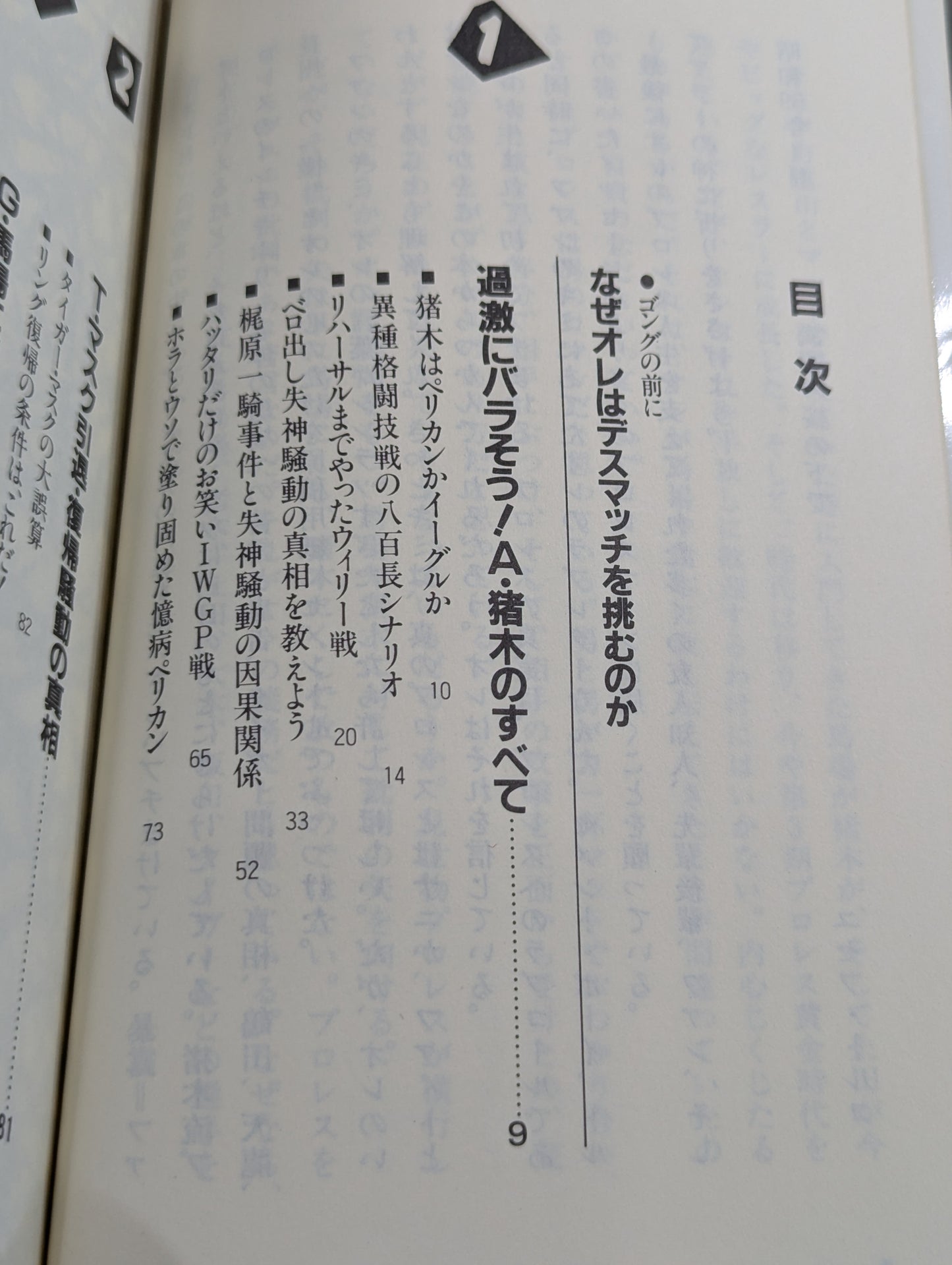 こんなプロレス知ってるかい